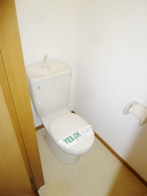 Toilet. It will be established warm water washing toilet seat