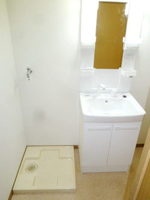 Washroom. Washbasin with shower