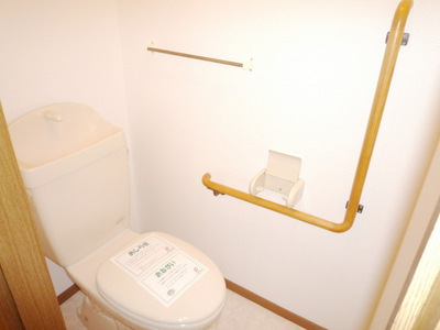 Toilet. Toilet with cleanliness