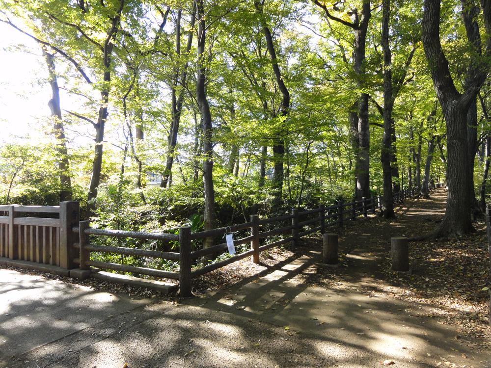 Other. Tamagawa promenade in the neighborhood Holiday stroll