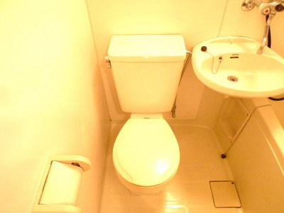 Toilet. Toilet