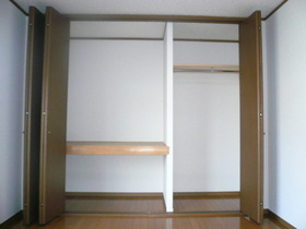 Other. There is Western-style closet
