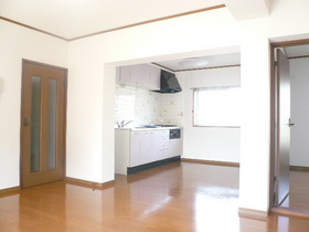 Living and room. South-facing sunny of LDK