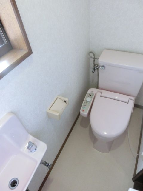 Toilet. The first floor of a toilet with bidet