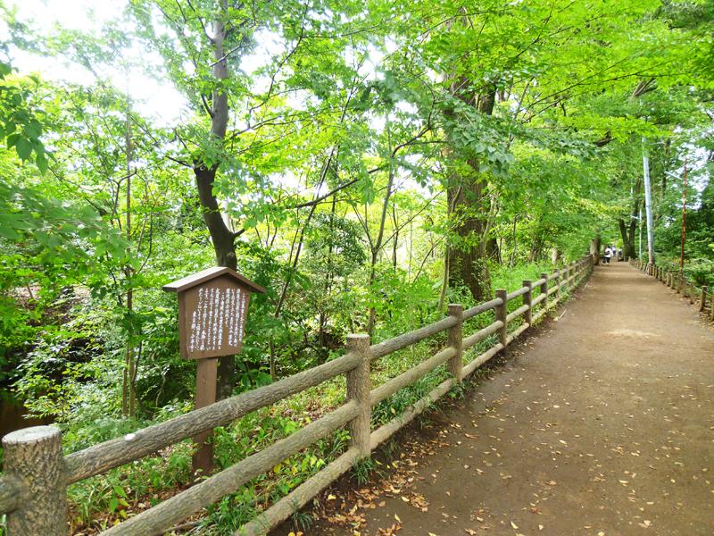 Other Environmental Photo. 500m to Tamagawa