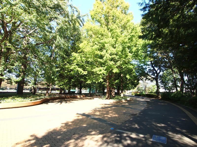 park. Kodaira stand up to Central Park 1100m