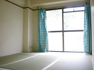 Other room space. Japanese style room