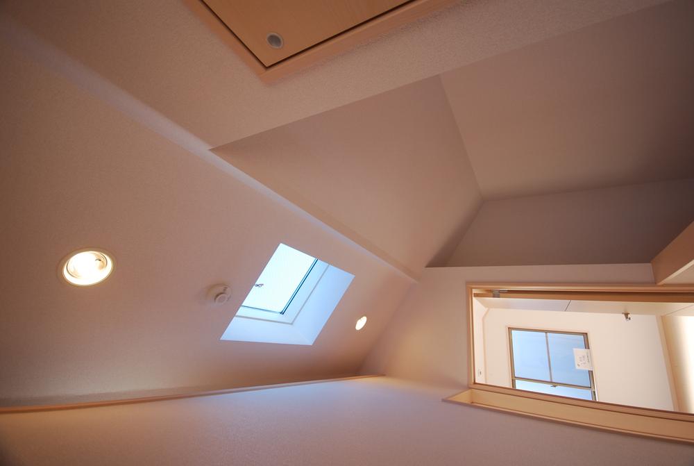 Other introspection. Local Photos