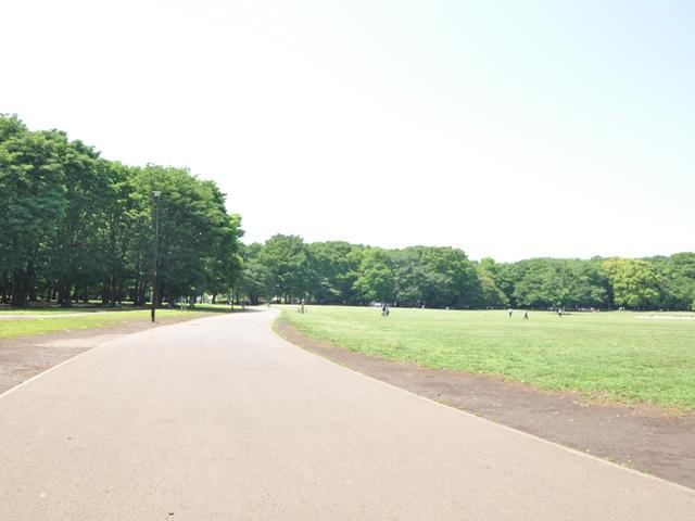 park.  [Tokyo Metropolitan Koganei Park] Only about a 1-minute walk from the property! Why do not you send a life to enjoy the green (about 50m) large park?