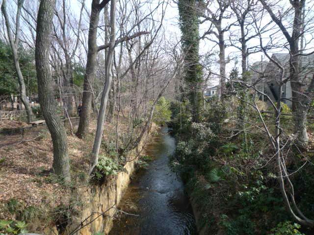 park. Kodaira Central Park to Tamagawa 1060m