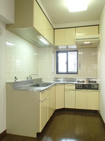 Kitchen. L-shaped kitchen