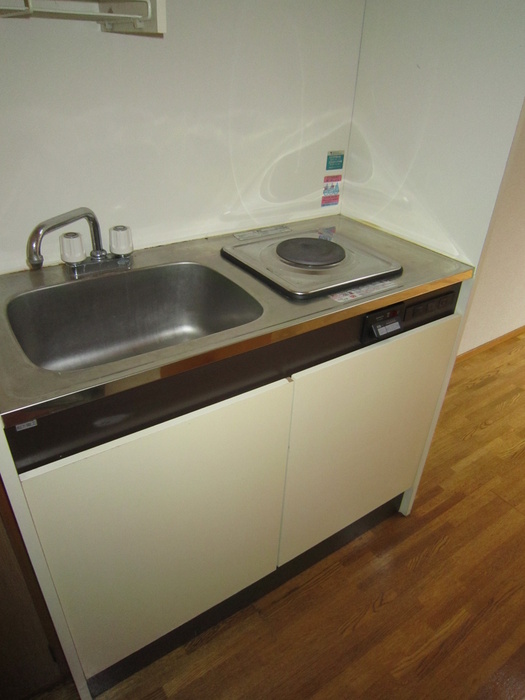 Kitchen. A small kitchen.
