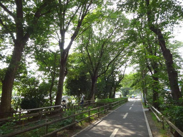 Other. Station Tamako bike path