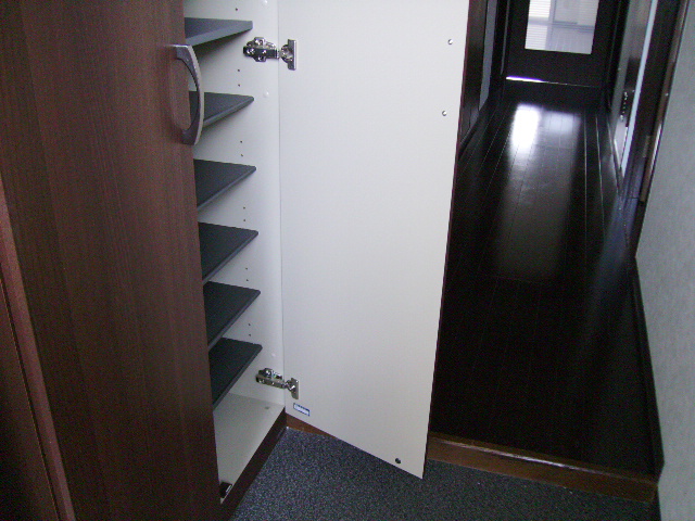 Entrance. Entrance space with a shoe box storage