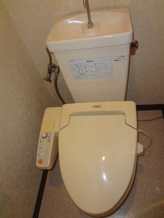 Toilet. Bidet