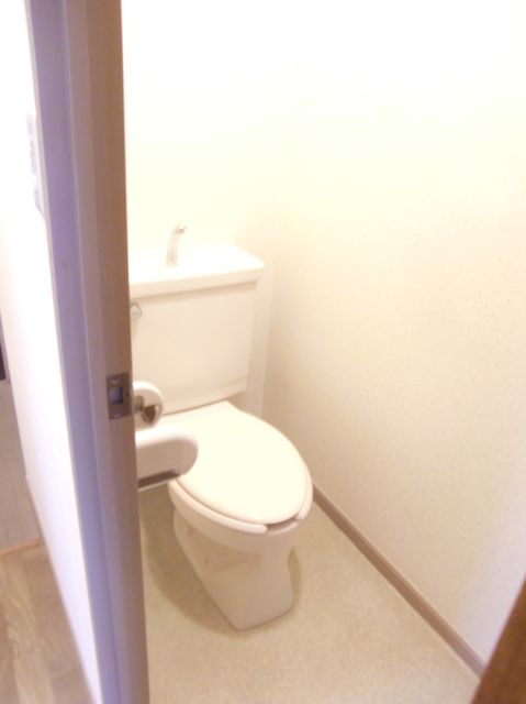 Toilet. Toilet