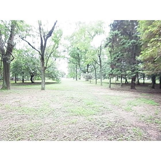 park. 600m to Koganei Park (park)