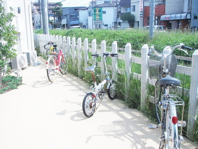 Parking lot. Bicycle-parking space