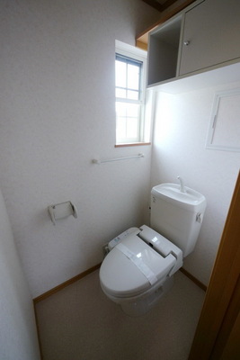 Toilet. The same type