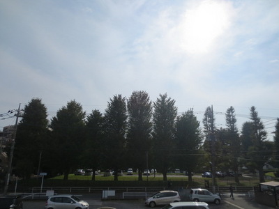 View. Day good