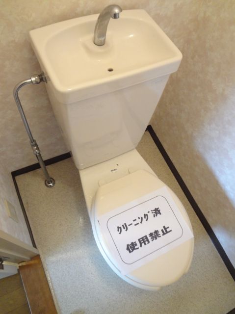 Toilet. Toilet