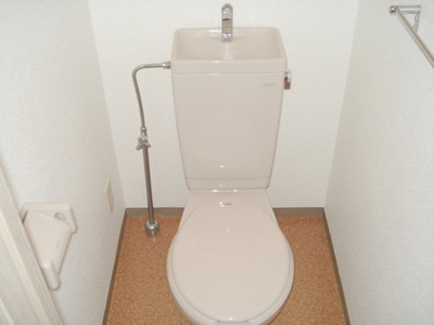 Toilet. Toilet