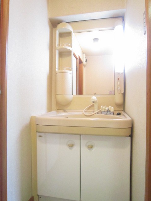 Washroom. Shampoo Dresser