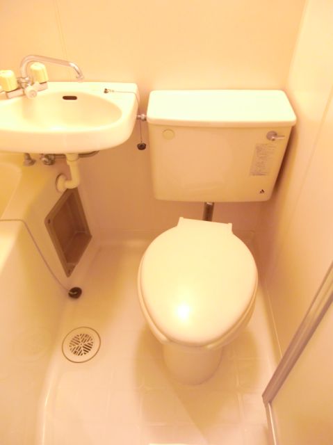 Toilet. Unit bus with a basin