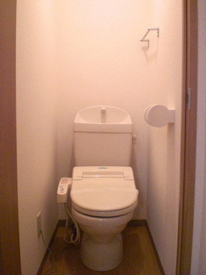 Toilet. Spacious toilet