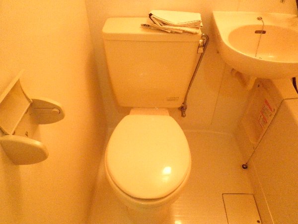 Toilet