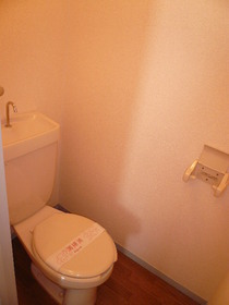 Toilet. The photograph is the same type reference photograph