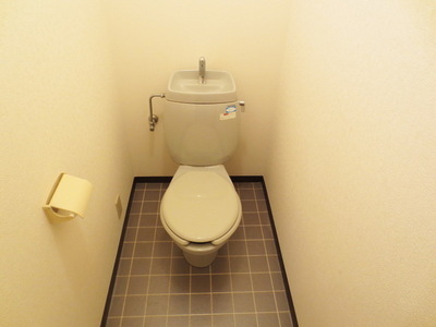 Toilet. Toilet