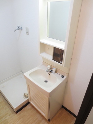 Washroom. Wash basin