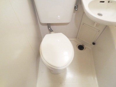 Toilet. Toilet