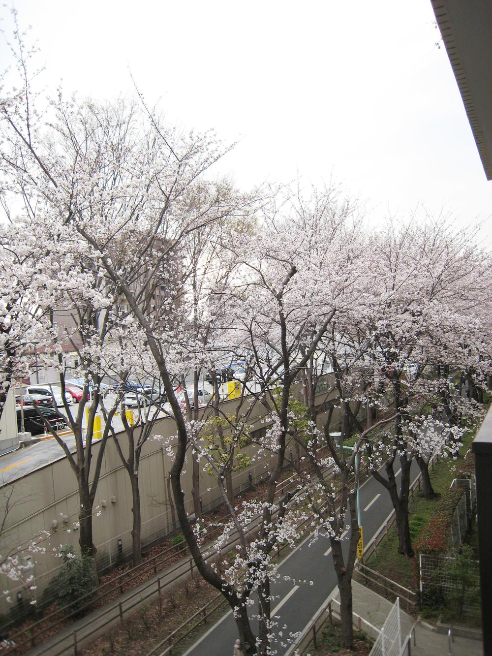 View photos from the dwelling unit. View from local (March 2013) Shooting