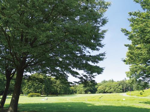 park. Metropolitan Koganei Park: bicycle about 28 minutes (6.8km)