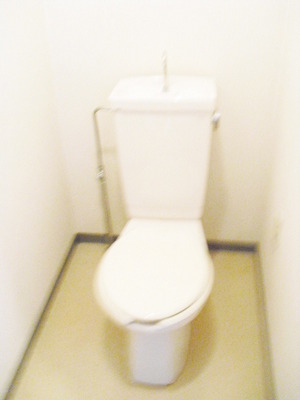 Toilet. Toilet