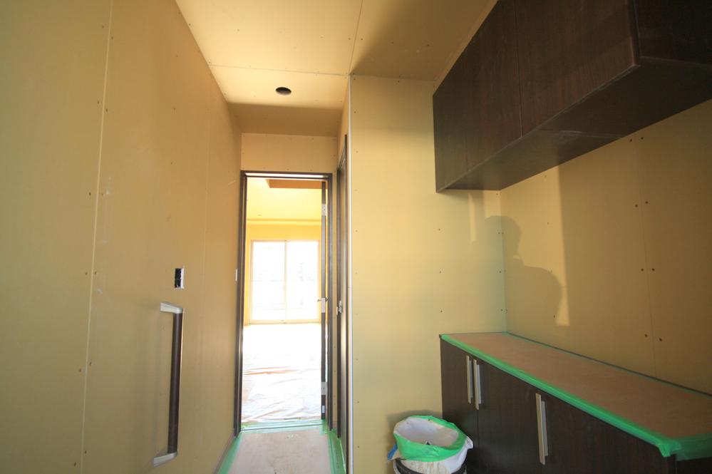 Other introspection. Local Photos