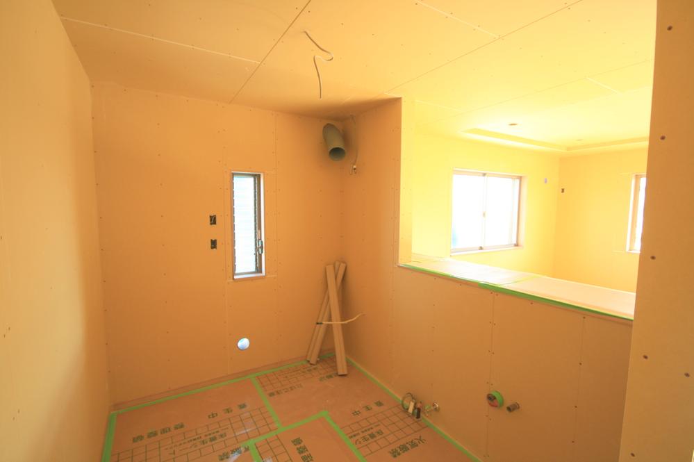 Other introspection. Local Photos