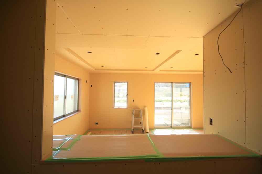 Other introspection. Local Photos