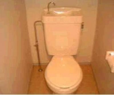 Toilet. Toilet