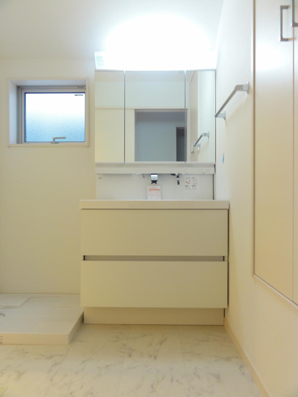 Wash basin, toilet. Vanity shower faucet