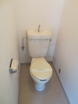 Toilet. Toilet