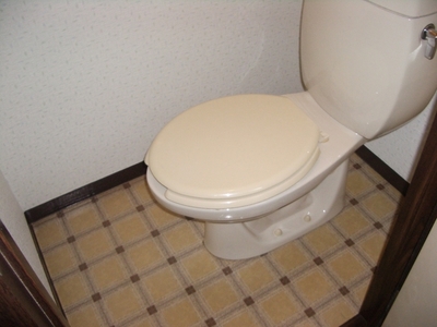 Toilet