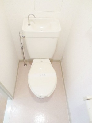 Toilet. Toilet