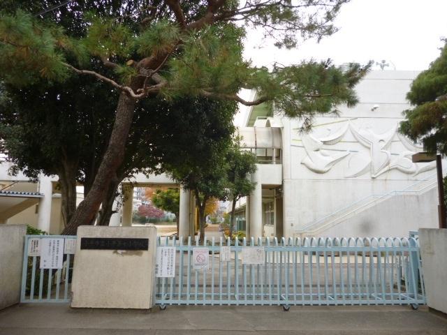 Primary school. Deng 1150m until the seventh elementary school