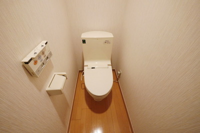 Toilet. Same type