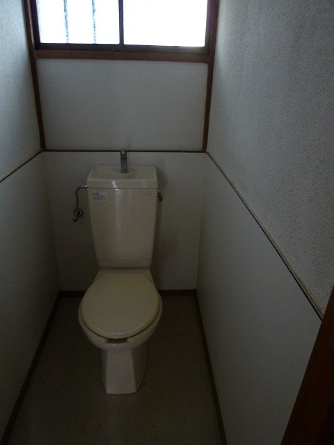 Toilet. Western-style flush toilet