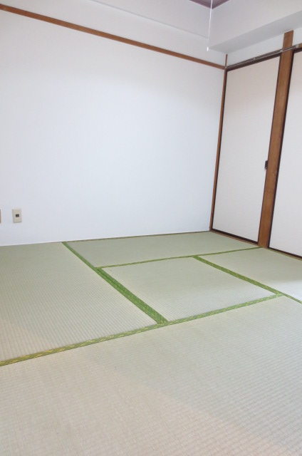 Other. Japanese-style room 4.5 Pledge