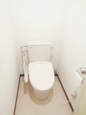 Toilet. Toilet